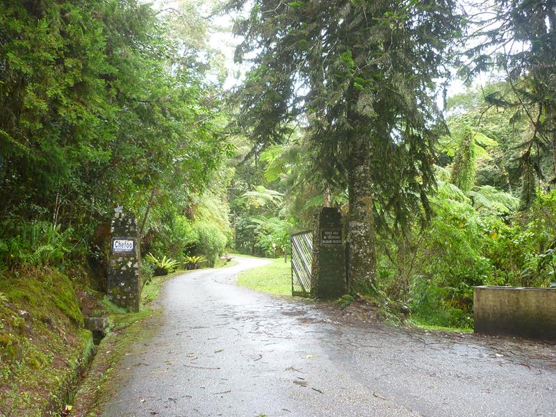 The school entrance - hasn't changed a bit