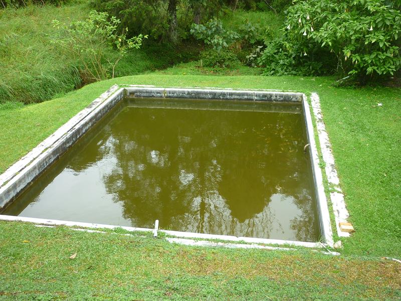 The swimming pool! Back in the day it was about 50% chlorine and about 2 deg C. Brutal!