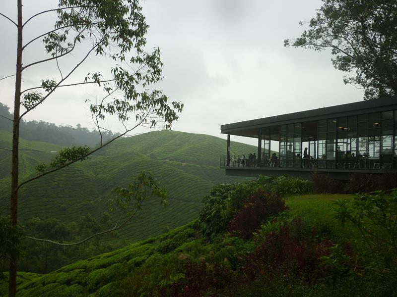 The Boh Tea Estate's visitor centre