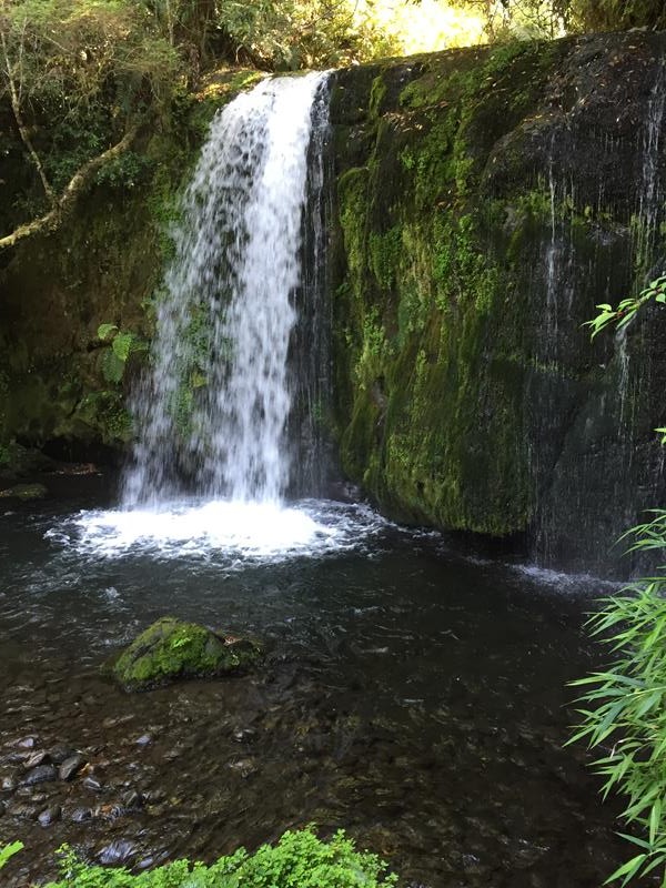 One of the little waterfalls on the farm property
