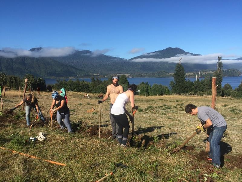 Trench-digging