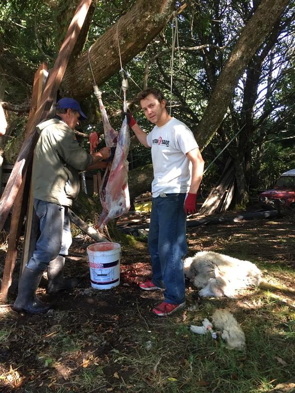 Preparing the lamb