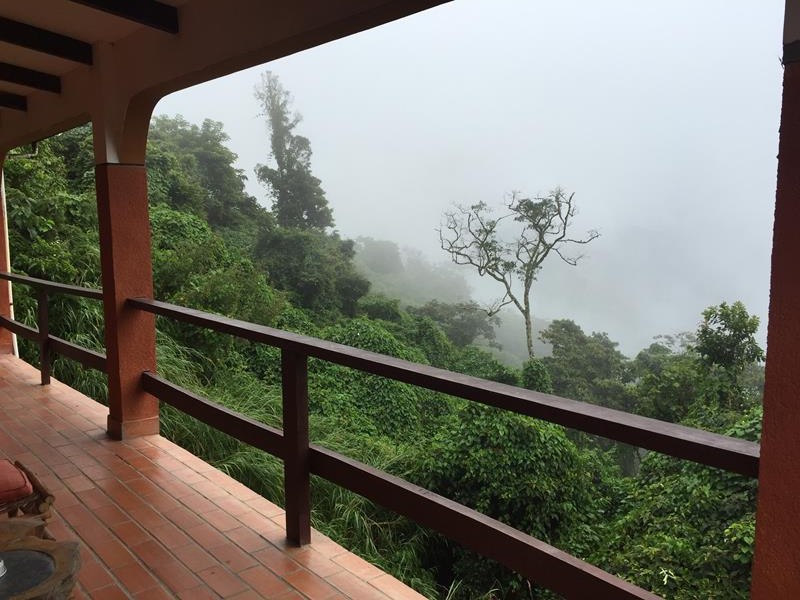 Typical view from our room